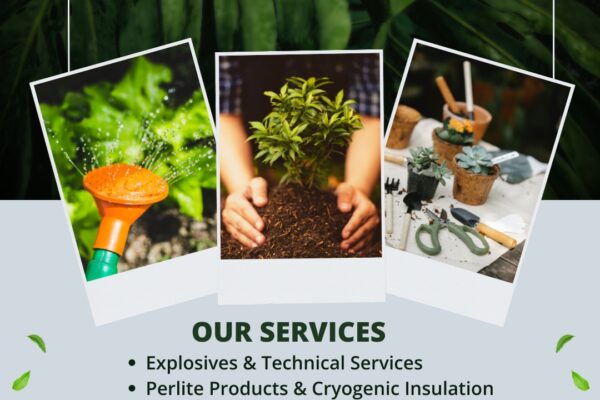 Indoor Gardening Potting Mix for Healthy Plants