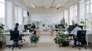 UI UX Design Services