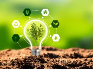 environmental consultants