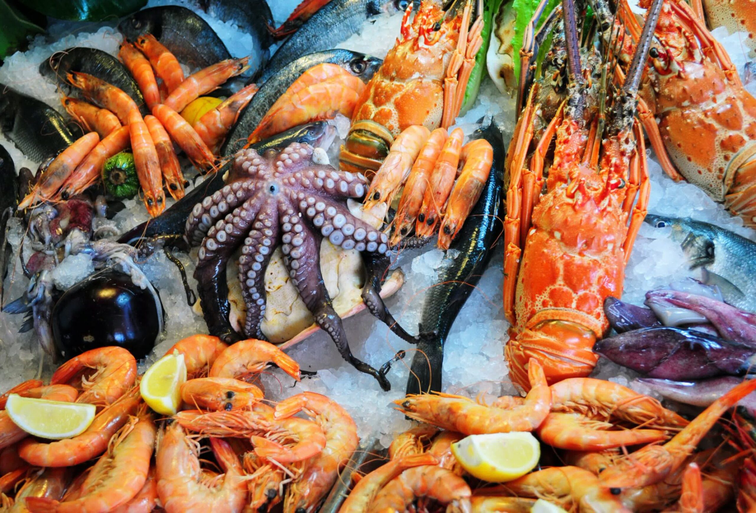 Seafood