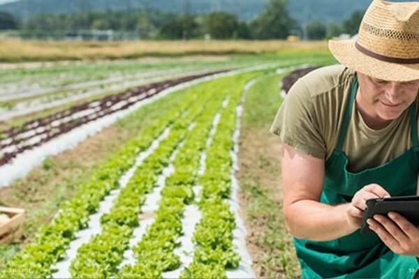 Sustainable Agriculture Farming