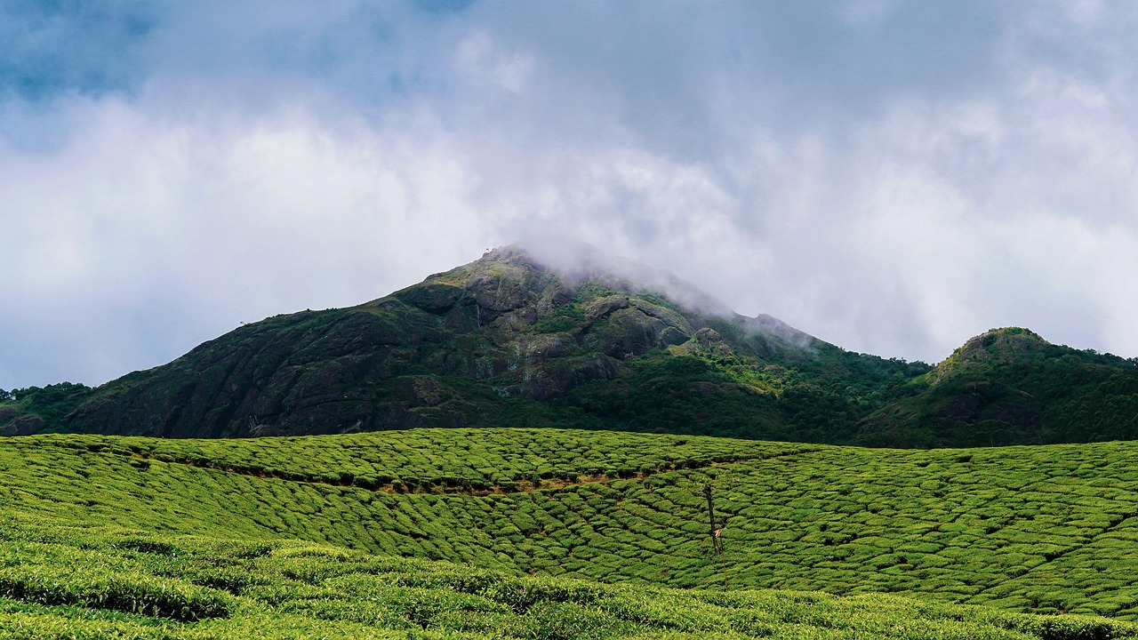 7 Days Yoga and Ayurveda Tour in Kerala