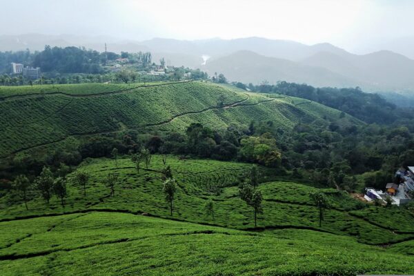 7 days kerala backwater tour