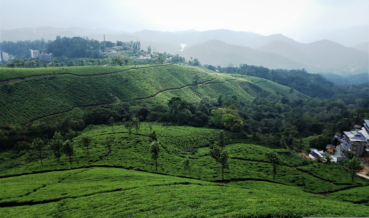 7 days kerala backwater tour