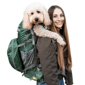 dog sling carry