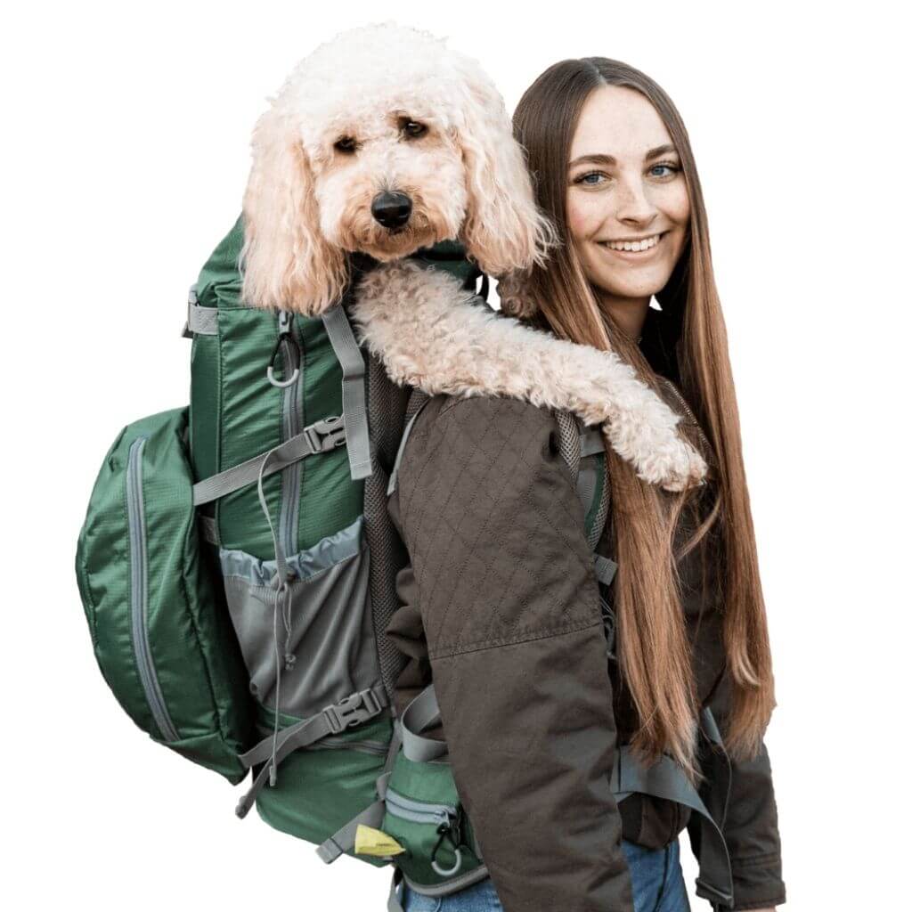 dog sling carry