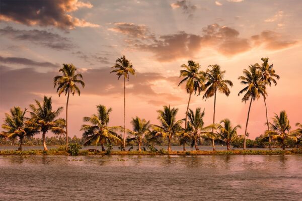 kerala family packages