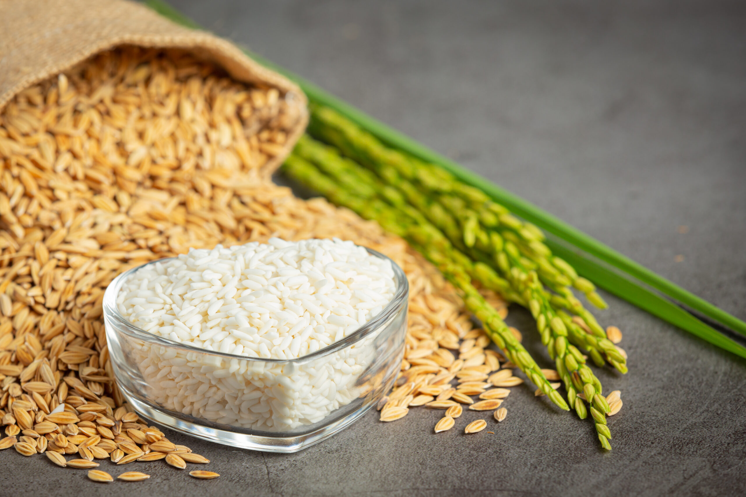 rice supplier in india