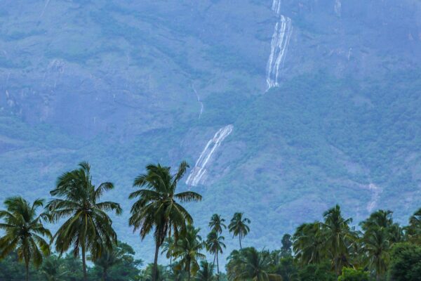 Romance in the Rainforests: Popular Kerala Honeymoon Tour Packages