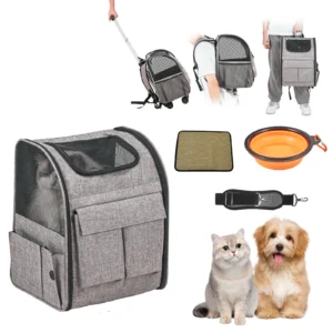 dog with a backpack