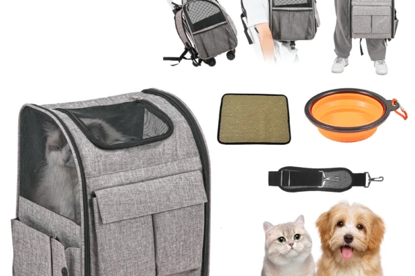 dog with a backpack