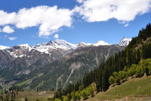 Discover the Cool Charm of Hill Stations in India